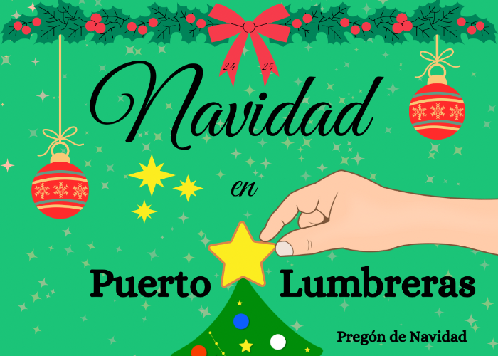 PROGRAMACIN DE NAVIDAD