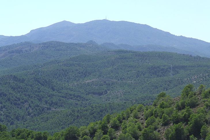 CARRASCOY Y EL VALLE