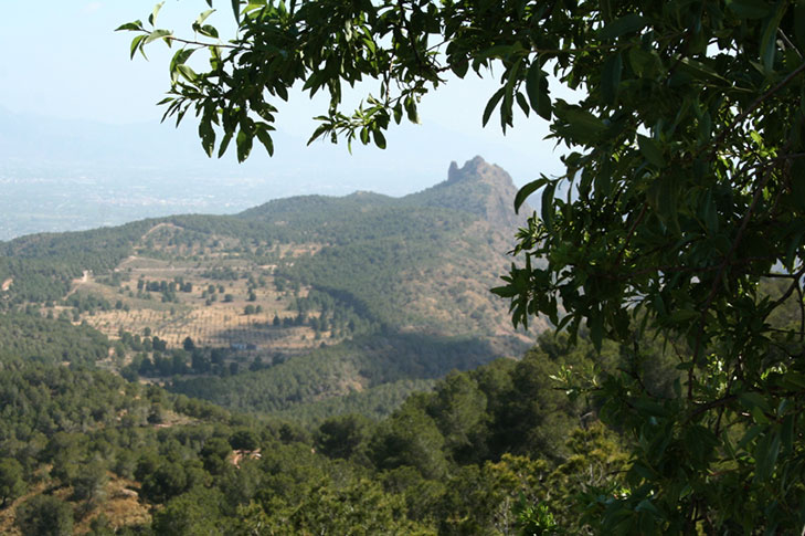 CARRASCOY Y EL VALLE