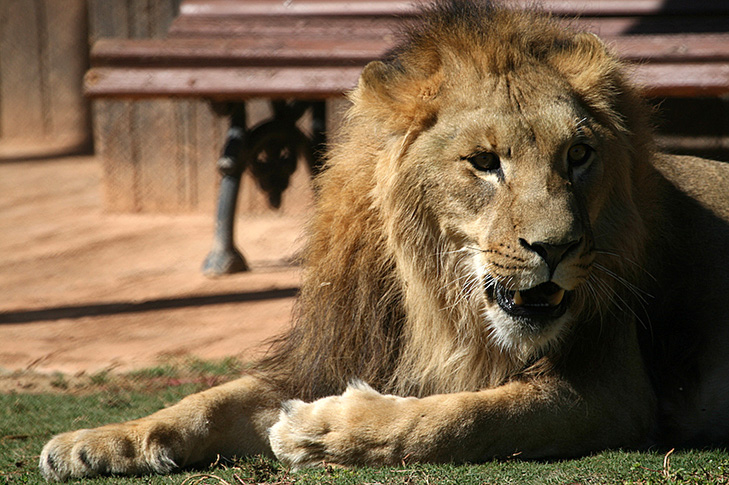 TERRA NATURA MURCIA