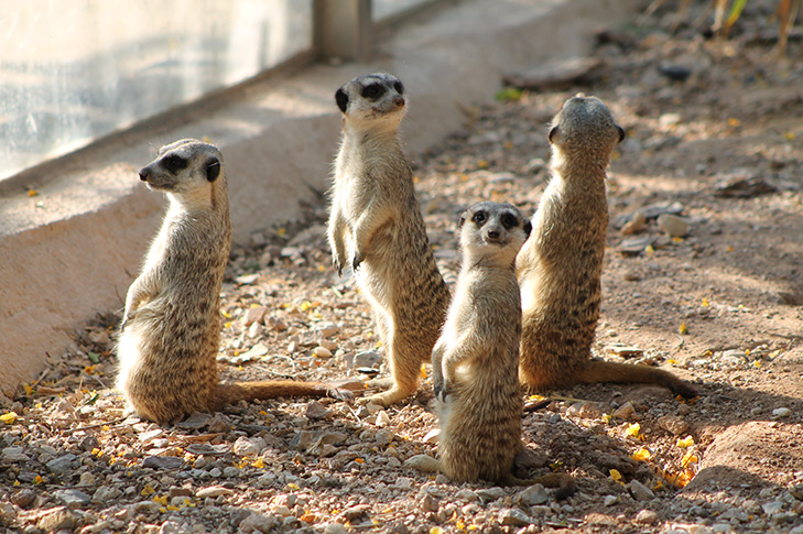 TERRA NATURA MURCIA